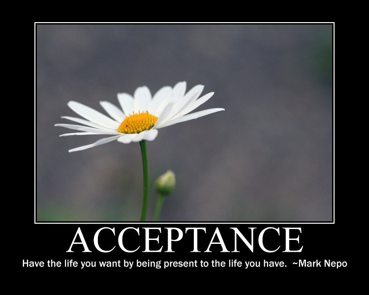 A youth finds acceptance